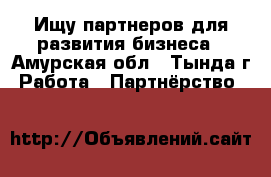 Ищу партнеров для развития бизнеса - Амурская обл., Тында г. Работа » Партнёрство   